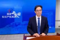 2019年度专利复审无效十大案件